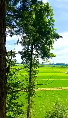 千勝神社(茨城県)