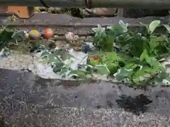 賀茂別雷神社（上賀茂神社）の手水