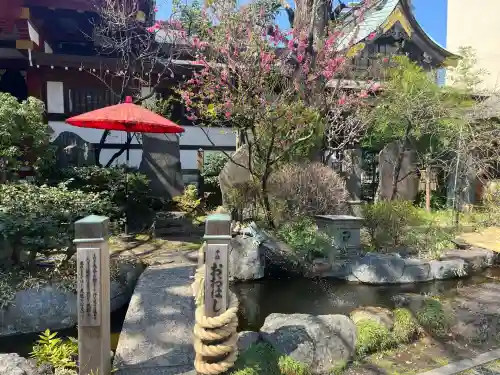素盞雄神社(東京都)