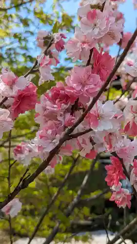 轉法輪寺(京都府)