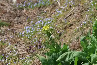 鹿股神社の自然