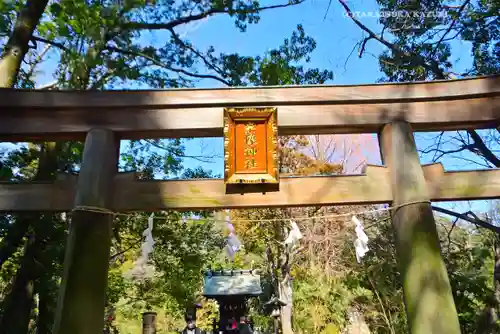 武蔵一宮氷川神社(埼玉県)
