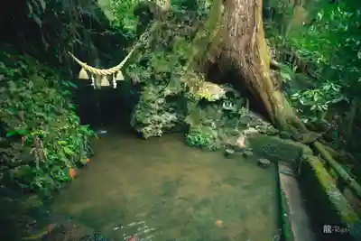 目の霊山　油山寺(静岡県)