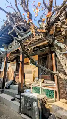 躰仙院の本殿・本堂