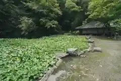 大照院(山口県)