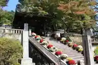 修禅寺の山門・神門