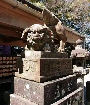 諫早神社(九州総守護 四面宮)の狛犬