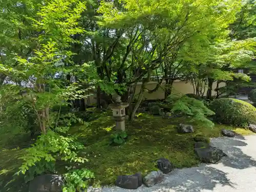 妙顯寺（妙顕寺）(京都府)