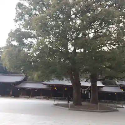 明治神宮(東京都)