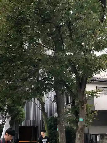 赤城神社の自然