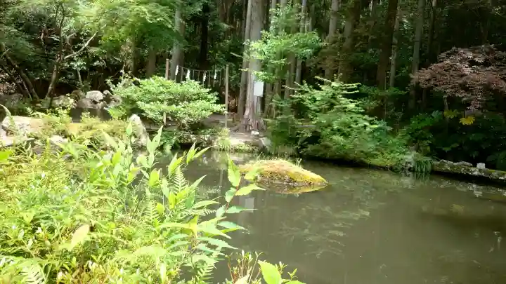 九頭竜大社(京都府)