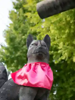 飛木稲荷神社(東京都)