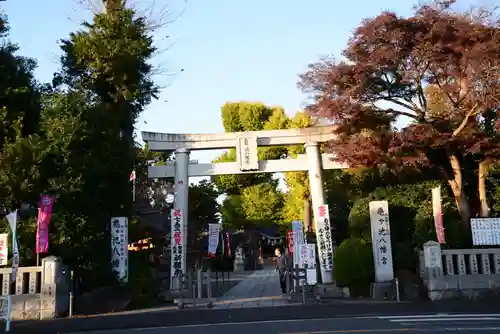 亀ケ池八幡宮の鳥居