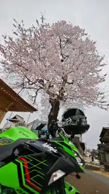 秩父札所十三番 慈眼寺の{uncategorized: "未分類", other: "その他", undefined: "問題あり", building: "その他建物", grave: "お墓", sacred_gate: "鳥居", guardian: "狛犬", statue: "像", buddha: "仏像", history: "歴史", nature: "自然", garden: "庭園", animal: "動物", pagoda: "塔", temizu: "手水舎", mountain_gate: "山門・神門", sanctuary: "本殿・本堂", subordinate: "末社・摂社", art: "芸術", scenery: "景色", jizo: "地蔵", ema: "絵馬", goshuin: "御朱印", omikuji: "おみくじ", items: "授与品その他", amulet: "お守り", goshuincho: "御朱印帳", eats: "食事", festival: "お祭り", votive_dance: "神楽", shichigosan: "七五三参", wedding: "結婚式", experience: "体験その他", initially: "初詣", around: "周辺", anti_infection: "感染症対策"}