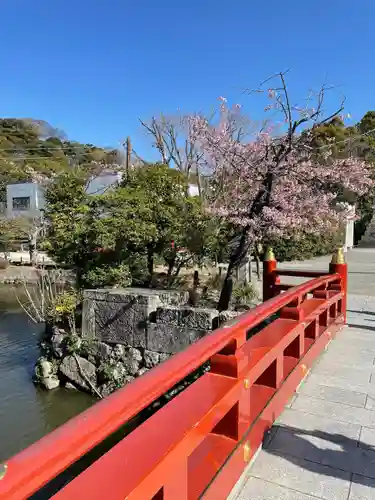 鶴岡八幡宮(神奈川県)