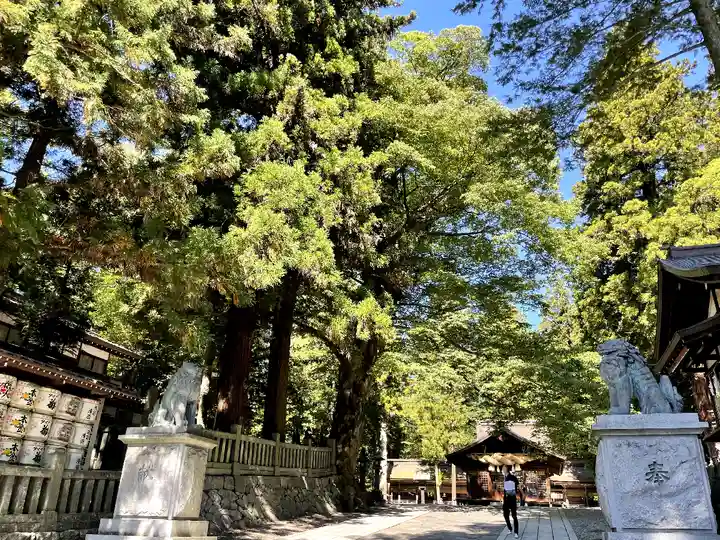 諏訪大社下社春宮(長野県)