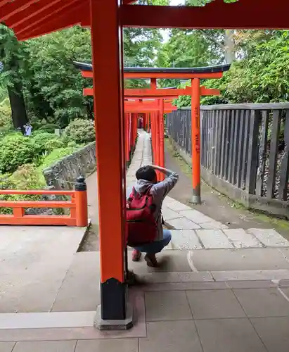 根津神社(東京都)