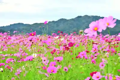 郡殿の池弁財天社(新潟県)