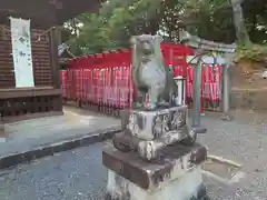 七所神社（百々七所神社）の狛犬