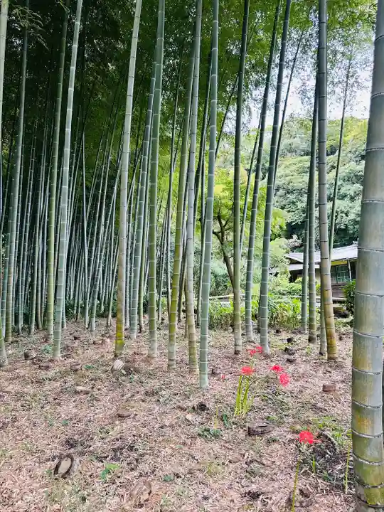 英勝寺(神奈川県)