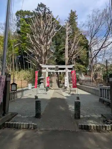 熊野神社(神奈川県)