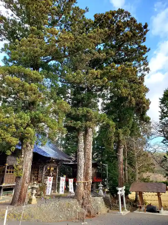 高司神社〜むすびの神の鎮まる社〜の自然