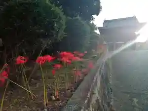 全忠寺のその他建物(2022年09月24日(土) 17時25分57秒投稿)
