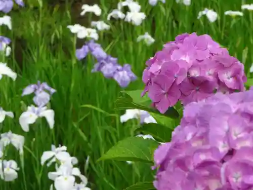 天台宗　長窪山　正覚寺の自然