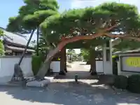 法源寺の山門・神門