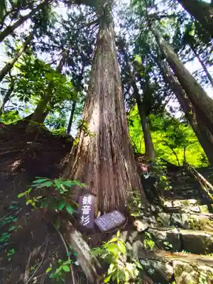 瑠璃寺(兵庫県)