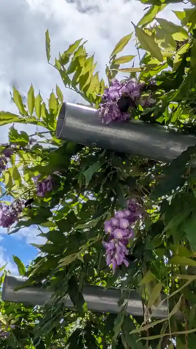 大松禅寺(京都府)