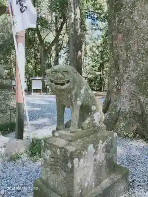 間々田八幡宮の狛犬