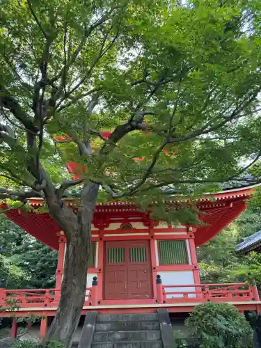 正覚院の{uncategorized: "未分類", other: "その他", undefined: "問題あり", building: "その他建物", grave: "お墓", sacred_gate: "鳥居", guardian: "狛犬", statue: "像", buddha: "仏像", history: "歴史", nature: "自然", garden: "庭園", animal: "動物", pagoda: "塔", temizu: "手水舎", mountain_gate: "山門・神門", sanctuary: "本殿・本堂", subordinate: "末社・摂社", art: "芸術", scenery: "景色", jizo: "地蔵", ema: "絵馬", goshuin: "御朱印", omikuji: "おみくじ", items: "授与品その他", amulet: "お守り", goshuincho: "御朱印帳", eats: "食事", festival: "お祭り", votive_dance: "神楽", shichigosan: "七五三参", wedding: "結婚式", experience: "体験その他", initially: "初詣", around: "周辺", anti_infection: "感染症対策"}