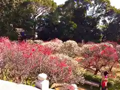 道明寺天満宮(大阪府)