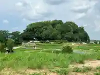 磯長山田稜 (推古天皇陵)(大阪府)