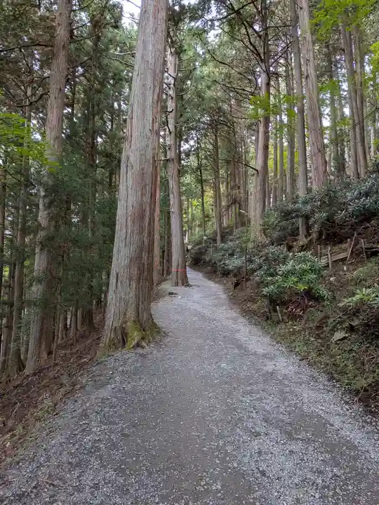 三峯神社(埼玉県)
