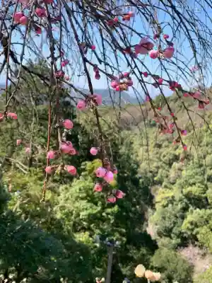 日龍峯寺(高澤観音)(美濃清水)の{uncategorized: "未分類", other: "その他", undefined: "問題あり", building: "その他建物", grave: "お墓", sacred_gate: "鳥居", guardian: "狛犬", statue: "像", buddha: "仏像", history: "歴史", nature: "自然", garden: "庭園", animal: "動物", pagoda: "塔", temizu: "手水舎", mountain_gate: "山門・神門", sanctuary: "本殿・本堂", subordinate: "末社・摂社", art: "芸術", scenery: "景色", jizo: "地蔵", ema: "絵馬", goshuin: "御朱印", omikuji: "おみくじ", items: "授与品その他", amulet: "お守り", goshuincho: "御朱印帳", eats: "食事", festival: "お祭り", votive_dance: "神楽", shichigosan: "七五三参", wedding: "結婚式", experience: "体験その他", initially: "初詣", around: "周辺", anti_infection: "感染症対策"}