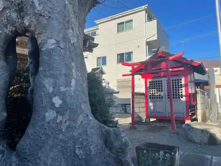 秋葉神社(東京都)