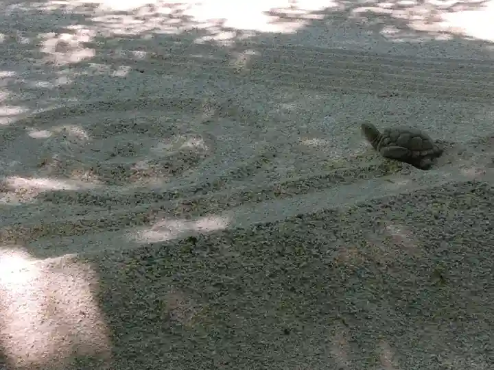 明月院(神奈川県)