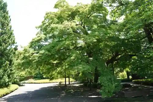 福蔵院(東京都)