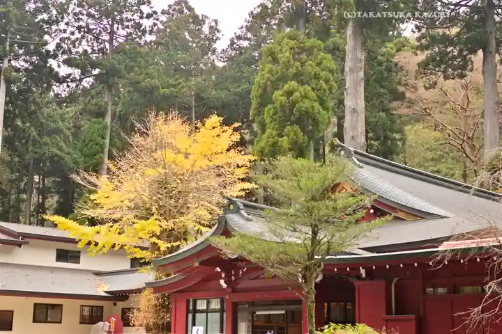 箱根神社(神奈川県)