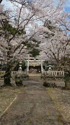 天鷹神社(岐阜県)
