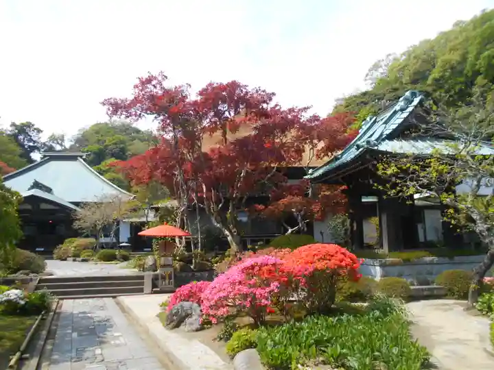 海蔵寺のその他建物