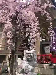 矢先稲荷神社(東京都)