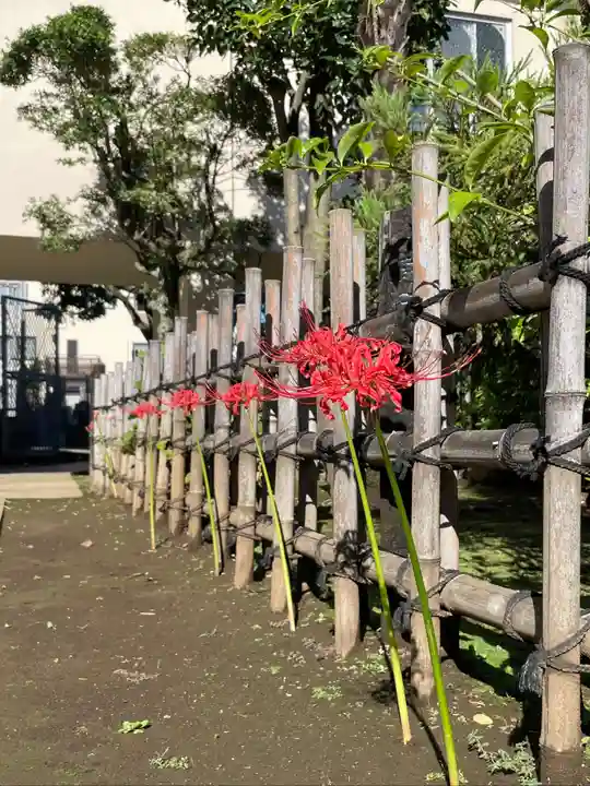 福王山 慈眼寺の自然