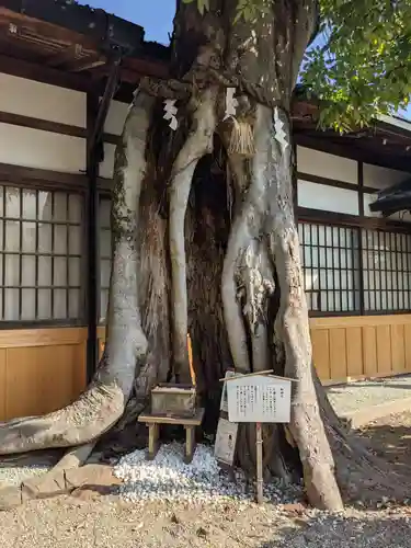 三輪坐恵比須神社(奈良県)