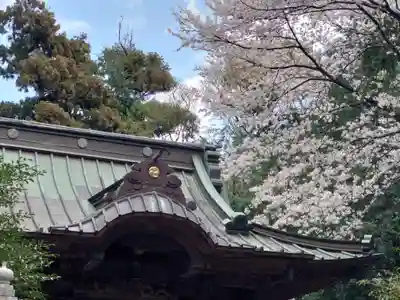 腰掛神社(神奈川県)