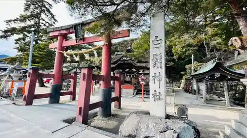 白鬚神社の鳥居