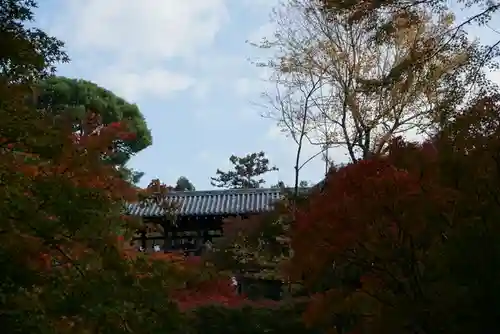 東福禅寺（東福寺）の景色