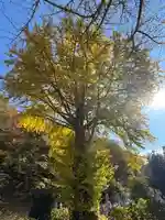 壽徳寺 じゅとくじ(福島県)